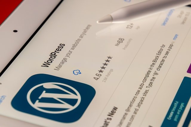 WordPress Issues and How to Deal with Them